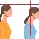 오목교하부(주변쪽 교각 아래 운동기구 주변) | 견갑(날개뼈)의 안정성 및 중요성 오목교 헬스