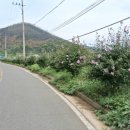 중용각경로당 이미지