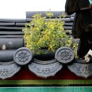 인간+자연 이미지