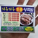 와우와우왕족발 이미지