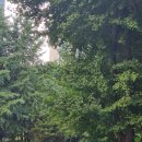 우성1차아파트 이미지