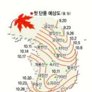 단풍구경 가볼만한곳 이미지