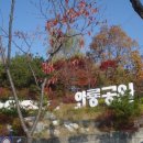 와룡공원 네이버블로그
