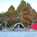 문화관광농원청소년야영장 이미지