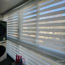 사림동100 이미지