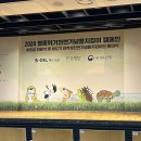 산양(산양보호구역) | 수달, 산양, 화암동굴, 장수하늘소는 말이야....
