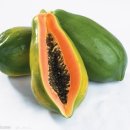 그린파파야 이미지