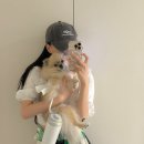 펫플릭 | [에피텀블러] 강아지 산책 필수템 추천! 에피 텀블러 & 펫머그 사용 후기 , 강아지 물통 추천