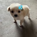 여름아, 부탁해~~ | 여름아 부탁해