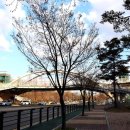 한류월드로 이미지