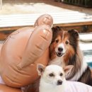 여주-0302 이미지