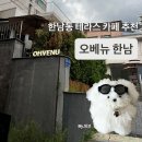 한남 | 한남동 테라스 카페 오베뉴한남 후기 | 애견동반·주차 정보
