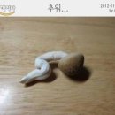 천추 남원추어탕 - 장흥군 | 천추 남원추어탕