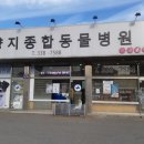 양지동물병원 네이버블로그