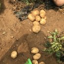 미예뜰유치원 이미지