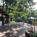 숲속캠핑장 이미지