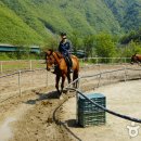 문경승마클럽 이미지