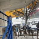 아궁이빙수 | 서울대입구역 덮밥 맛집 동경산책 & 과일우유빙수 추천 카페 아궁이빙수 내돈내산 후기