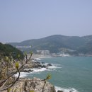 동삼1동-10 이미지