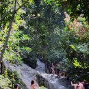 (주)더단테리소스 | 태국 치앙마이 투어 추천 내돈내산 후기 | 부아텅 폭포 단테와다 준비물