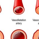 태선생 운동건강연구원(저스트바디짐) 이미지