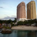 막탄(mactan) 이미지