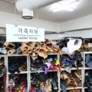 의류명품수선리폼전문점 | [명품시계리폼] 디올 오블리크 시계줄을 엘리게이터 악어가죽으로 교체한 후기!
