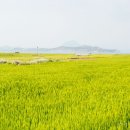 대산공인중개사사무소 이미지