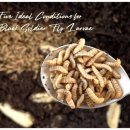 청원사료 이미지