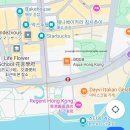 2일차: 구룡반도 쪽 맛집, 초이홍 하우스, 베이크 하우스, 막스누들 후기, 구룡 문화지구, 구룡 공원 등
