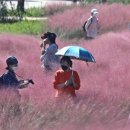 일단지공원 이미지