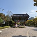 유달초등학교 | 천년의 역사를 품은 꽃무릇의 성지_영광 불갑사