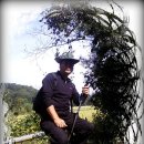 한자로의 산책 이미지