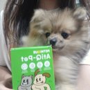 큐펫 | 강아지관절영양제 추천｜펫니크 아티큐펫 슬개골탈구 관절영양제 후기