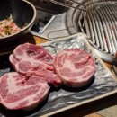 피그트램 이미지