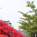 가야대학교(김해) 이미지