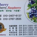 미라실로 이미지