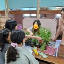 배바우농장 | [청년x청소년] 허브생추어리 활동후기