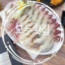 양산우체국 | 양산 북정 맛집 기본찬 튼튼한 횟집 모두횟집 방문후기