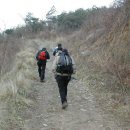 파래스모텔 이미지