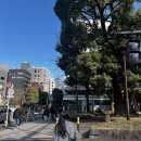 피크닉마트 이미지