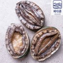 완도활전복 7-8미 1kg (마리당 125g 내외) 22,990원 이미지