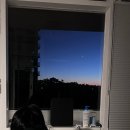 Sydney 희망편