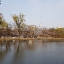 물향기수목원 Daum카페