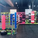 K다이나믹 복싱 이미지