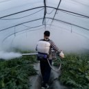 김주석농장 이미지