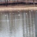 남순천의원 이미지