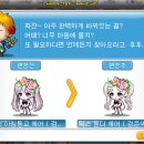 쁘띠베라 네이버블로그