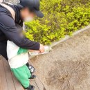 덕동산공원1 이미지