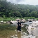 온담민박 | 직장인 일상 :: 집들이, 계곡, 제모 후기